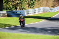 Oulton-Park-20th-March-2020;PJ-Motorsport-Photography-2020;anglesey;brands-hatch;cadwell-park;croft;donington-park;enduro-digital-images;event-digital-images;eventdigitalimages;mallory;no-limits;oulton-park;peter-wileman-photography;racing-digital-images;silverstone;snetterton;trackday-digital-images;trackday-photos;vmcc-banbury-run;welsh-2-day-enduro